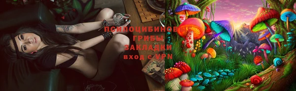 apvp Верхний Тагил