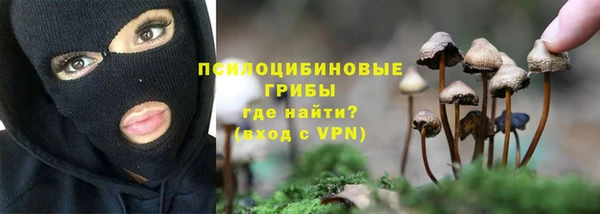 амф Бронницы