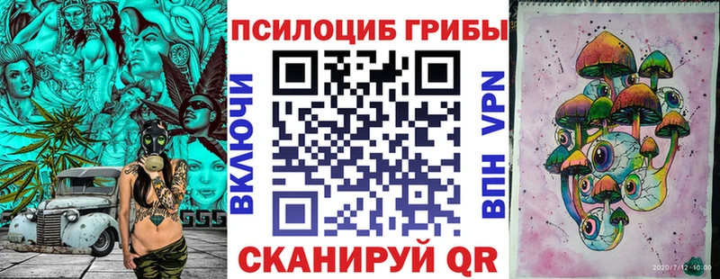 Галлюциногенные грибы Psilocybe  hydra ссылка  Всеволожск 
